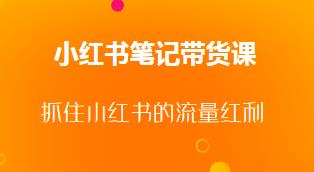张宾 小红书笔记带货课,快速起号教程（3月更新）