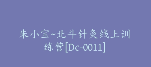 朱小宝 北斗针灸线上训练营，初阶+中阶课程（27节课程）