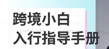 大苗讲跨境：跨境电商系统化实战课（全41节课程）