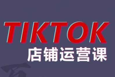 蕾蕾聊跨境：TikTok店铺运营赚钱实战课程（13节课程）