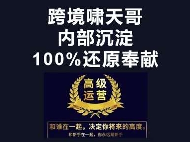 漫威跨境特训营：亚马逊跨境电商选品/付费投放广告推广