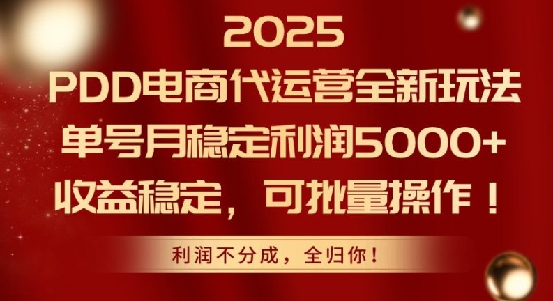 黑马《2025拼多多代运营赚钱教程》电商代运营单号稳定5000+