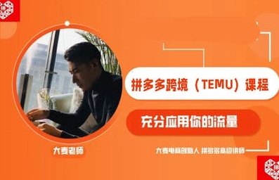 大麦电商TEMU海外版拼多多赚钱课程：出海跨境电商运营全流程