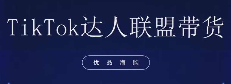 优品出海TikTok短视频运营赚钱：跨境电商直播带货入门课