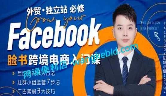 澳门彬哥Facebook跨境电商广告入门课：外贸独立站付费投流教程