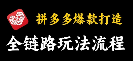 大海电商说《拼多多爆款打造》拼多多低成本店铺赚钱玩法