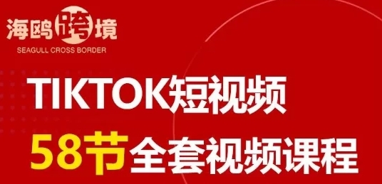 海鸥跨境大亿TikTok短视频带货：从理论到实践落地执行全链路