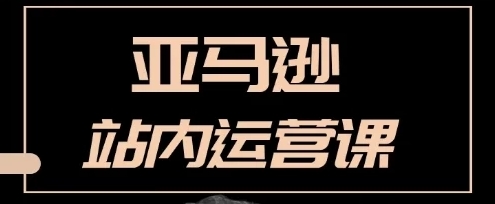 狼潇会敏哥亚马逊站内运营课：亚马逊跨境电商实战全流程
