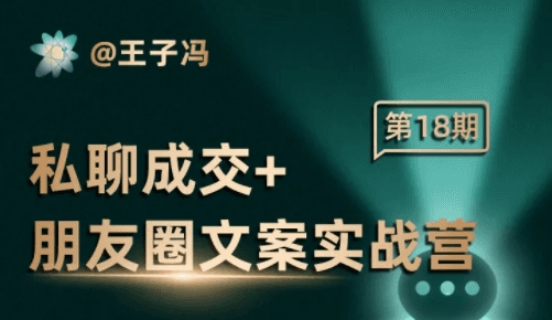 王子冯私域成交营销文案课程：朋友圈营销文案撰写实战