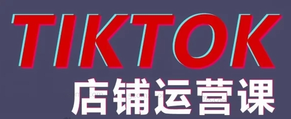 万三东南亚TikTok小店运营赚钱课程：手把手带你玩转跨境电商