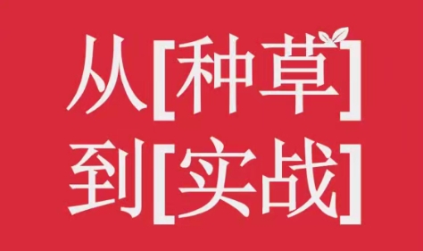 小红书电商运营实战操作指南：7大变现方式助你快速实现财富积累