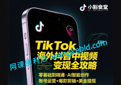 小豁食堂Tiktok中视频赚钱课程：借助AI生成爆款内容日入500+