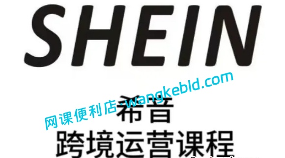 跨境挺shein希音实操指南：精准选品策略/全盘做店思路