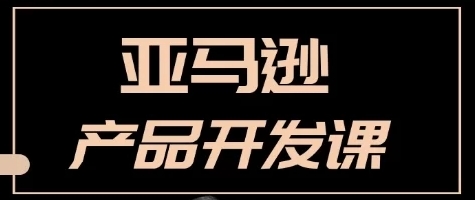 狼啸会敏哥亚马逊产品开发课程：亚马逊跨境电商选品逻辑原理
